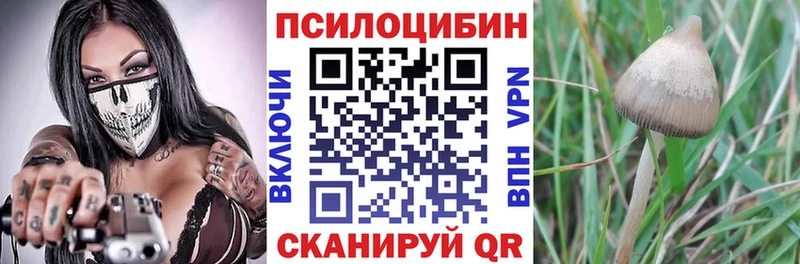 как найти наркотики Киреевск kraken онион Галлюциногенные грибы мицелий